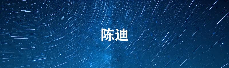 陈迪
