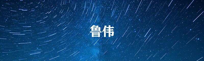 鲁伟