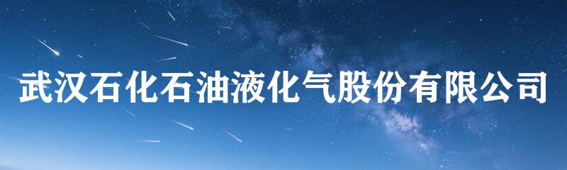 武汉石化石油液化气股份有限公司