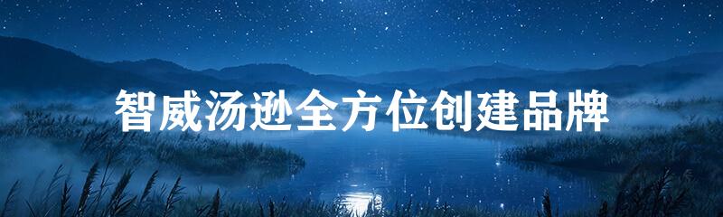智威汤逊全方位创建品牌