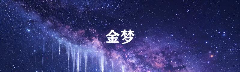 金梦