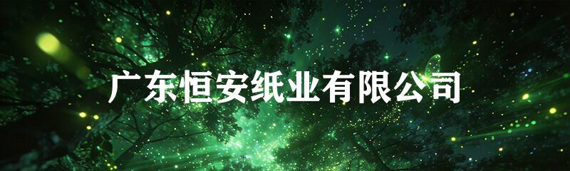 广东恒安纸业有限公司