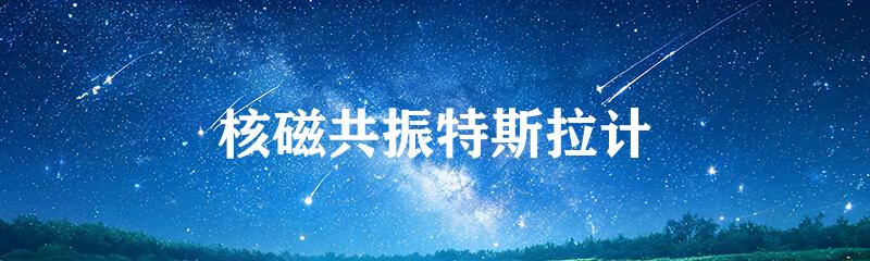 核磁共振特斯拉计
