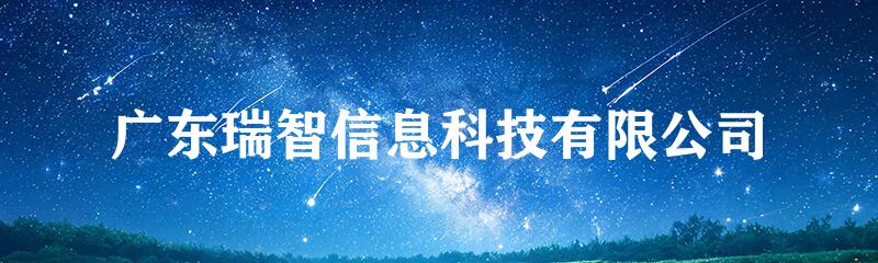 广东瑞智信息科技有限公司