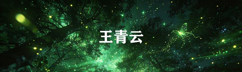 王青云