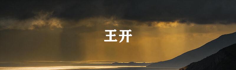 王开