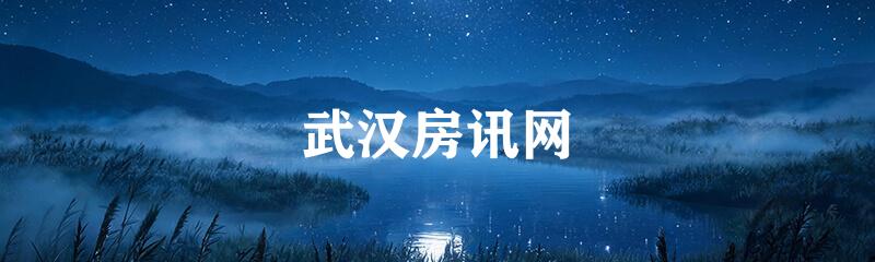 武汉房讯网